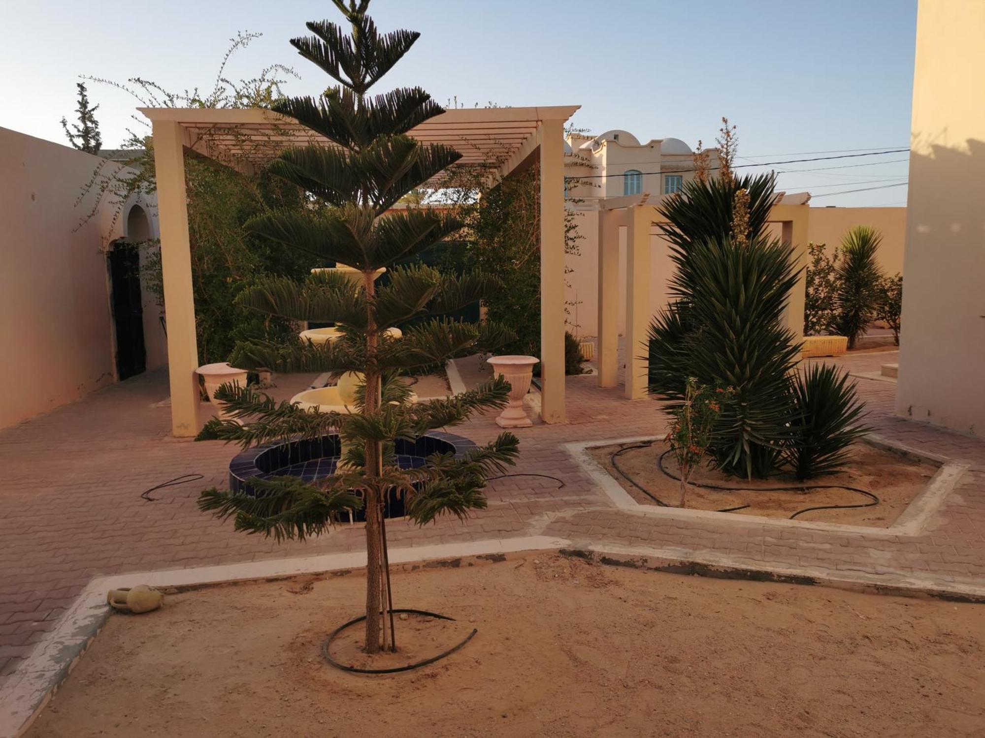Dar El Bey Appartement Ajim Buitenkant foto